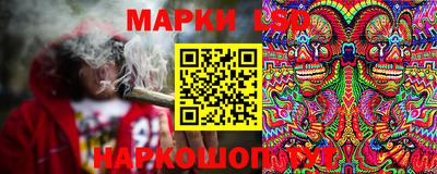 дурь Гай